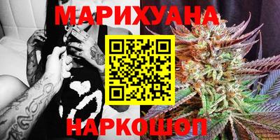 прущие грибы Лесосибирск