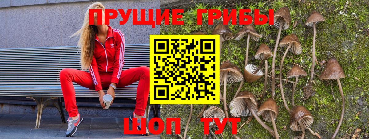 Галлюциногенные грибы мицелий  Вход с VPN  Воскресенск 
