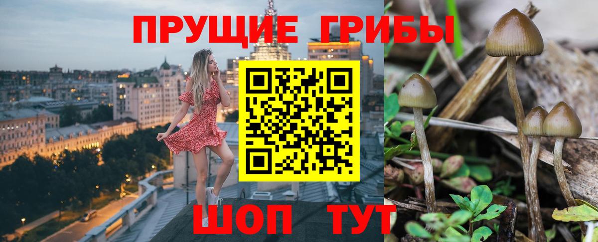 Галлюциногенные грибы ЛСД Воскресенск